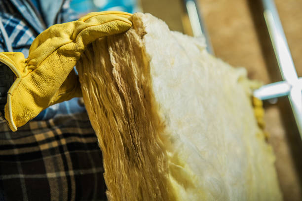 Best Geographic-Specific Insulation Services in Greenville, MI